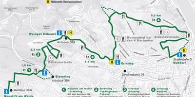 Картка Віденського хойрігера
